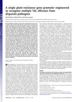 A Single Plant Resistance Gene Promoter Engineered to Recognize Multiple TAL Effectors from Disparate Pathogens