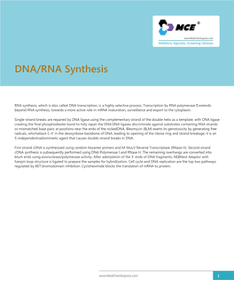 DNA/RNA Synthesis