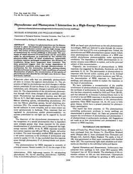 Phytochrome and Photosystem I Interaction in a High-Energy