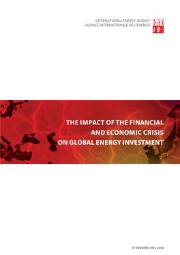 The Impact of the Financial and Economic Crisis on Energy Investment