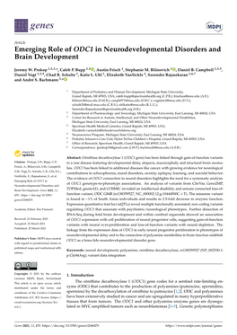 Emerging Role of ODC1 in Neurodevelopmental Disorders and Brain Development