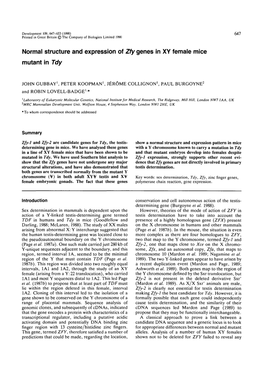 Normal Structure and Expression of Zfy Genes in XY Female Mice Mutant in Tdy