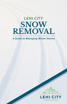 Snow Removal Brochure