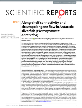 Along-Shelf Connectivity and Circumpolar Gene Flow in Antarctic