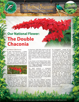 The Double Chaconia