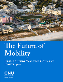 Reimagining Walton County's Route 30A Table of Contents