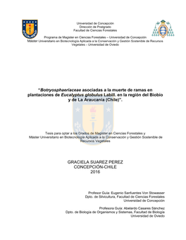 Botryosphaeriaceae Asociadas a La Muerte De Ramas En Plantaciones De Eucalyptus Globulus Labill