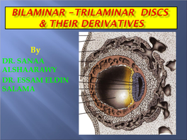 Paraxial Mesoderm)