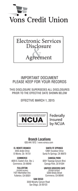 Electronic Services Disclosure Agreement