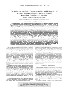 Catabolic and Anabolic Enzyme Activities and Energetics of Acetone Metabolism of the Sulfate-Reducing Bacterium Desulfococcus Biacutus