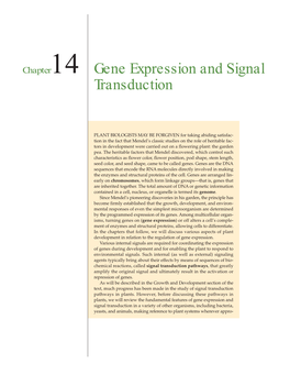 Gene Expression and Signal Transduction
