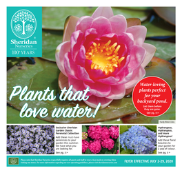 Water-Loving Plants Perfect for Your Backyard Pond. Plants That Get Them Before They Are Gone