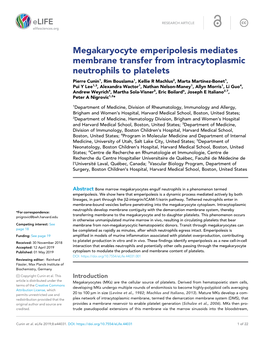 Megakaryocyte Emperipolesis Mediates Membrane Transfer from Intracytoplasmic Neutrophils to Platelets