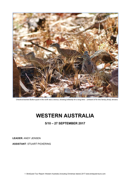 Birdquest Australia (Western and Christmas