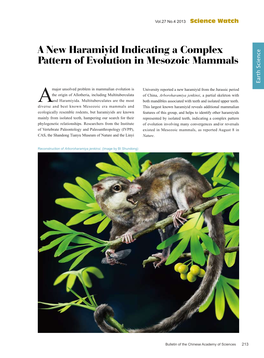 213 a New Haramiyid Indicating a Complex Pattern of Evolution In