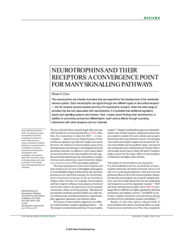 Neurotrophins and Their Receptors: a Convergence Point for Many Signalling Pathways