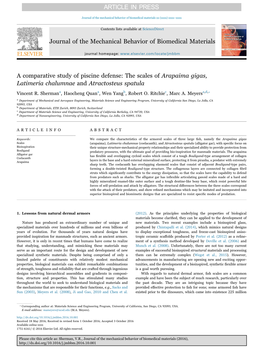 A Comparative Study of Piscine Defense the Scales of Arapaima