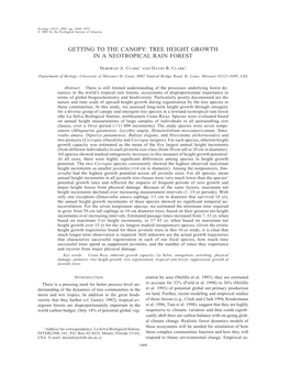 Tree Height Growth in a Neotropical Rain Forest