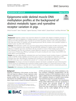 Epigenome-Wide Skeletal Muscle DNA Methylation Profiles at the Background of Distinct Metabolic Types and Ryanodine Receptor