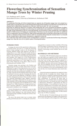 Flowering Synchronization of Sensation Mango Trees by Winter Pruning