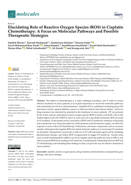 ROS) in Cisplatin Chemotherapy: a Focus on Molecular Pathways and Possible Therapeutic Strategies