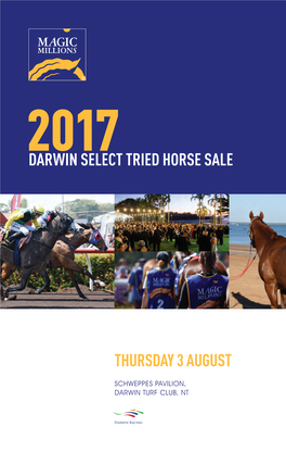 Darwin Select Tried Horse Sale Thursday 3 August
