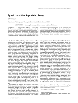 Eyasi 1 and the Suprainiac Fossa. AJPA