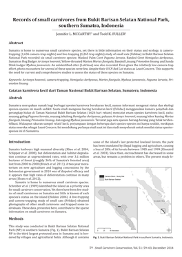 Records of Small Carnivores from Bukit Barisan Selatan National Park, Southern Sumatra, Indonesia