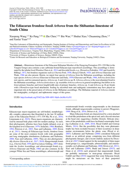 The Ediacaran Frondose Fossil Arborea from the Shibantan Limestone of South China