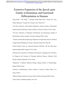 Extensive Expansion of the Speedy Gene Family in Homininae and Functional Differentiation in Humans