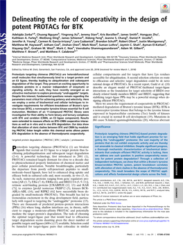 Delineating the Role of Cooperativity in the Design of Potent Protacs for BTK