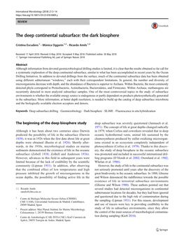 The Deep Continental Subsurface: the Dark Biosphere