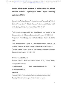 Global Ubiquitylation Analysis of Mitochondria in Primary Neurons