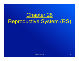 Chapter 28 Reproductive System (RS)