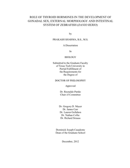 Role of Thyroid Hormones in the Development of Gonadal Sex, External Morphology and Intestinal System of Zebrafish (Danio Rerio)