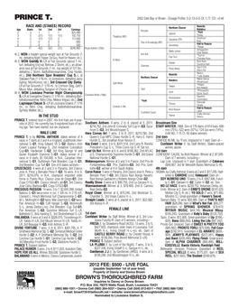 PRINCE T. 2002 Dark Bay Or Brown - Dosage Profile: 3-2-13-0-0; DI: 1.77; CD: +0.44