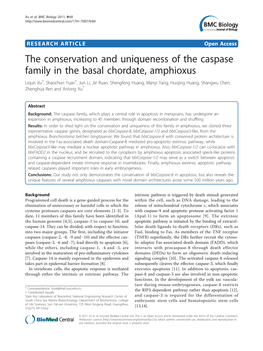 The Conservation and Uniqueness of the Caspase Family in the Basal