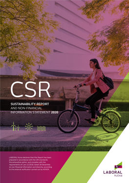 Sustainability Report and Non-Financial Information Statement 2020