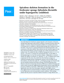 Spiculous Skeleton Formation in the Freshwater Sponge Ephydatia ﬂuviatilis Under Hypergravity Conditions