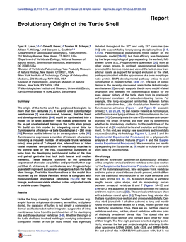 Evolutionary Origin of the Turtle Shell