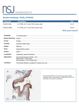 Sciellin Antibody / SCEL (F54353)
