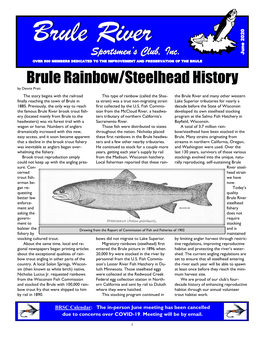 Brule Rainbow/Steelhead History