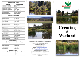 Creating a Wetland