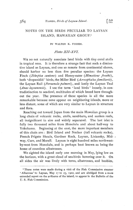 Notes on the Birds Peculiar to Laysan Island, Hawaiian Group