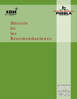 Síntesis De Las Recomendaciones