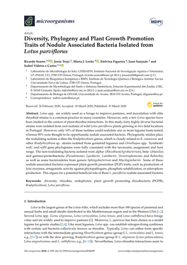 Diversity, Phylogeny and Plant Growth Promotion Traits of Nodule Associated Bacteria Isolated from Lotus Parviﬂorus