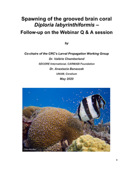 Spawning of the Grooved Brain Coral Diploria Labyrinthiformis – Follow-Up on the Webinar Q & a Session