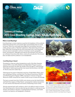 2015 Coral Bleaching Surveys: South Kohala, North Kona © David Slater