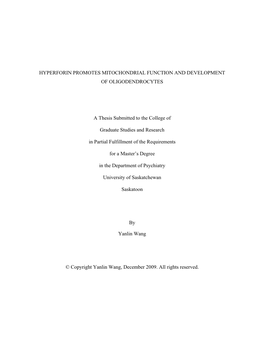 HYPERFORIN PROMOTES MITOCHONDRIAL FUNCTION and DEVELOPMENT of OLIGODENDROCYTES a Thesis Submitted to the College of Graduate