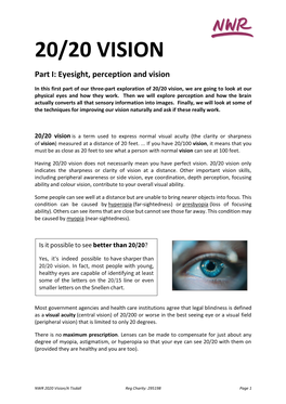 20/20 VISION Part I: Eyesight, Perception and Vision